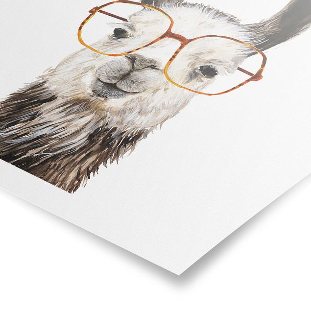 Poster animali Hip Lama con occhiali IV