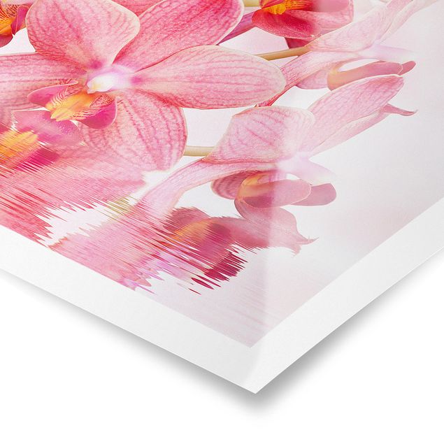 Stampe poster Orchidea rosa chiaro sull'acqua