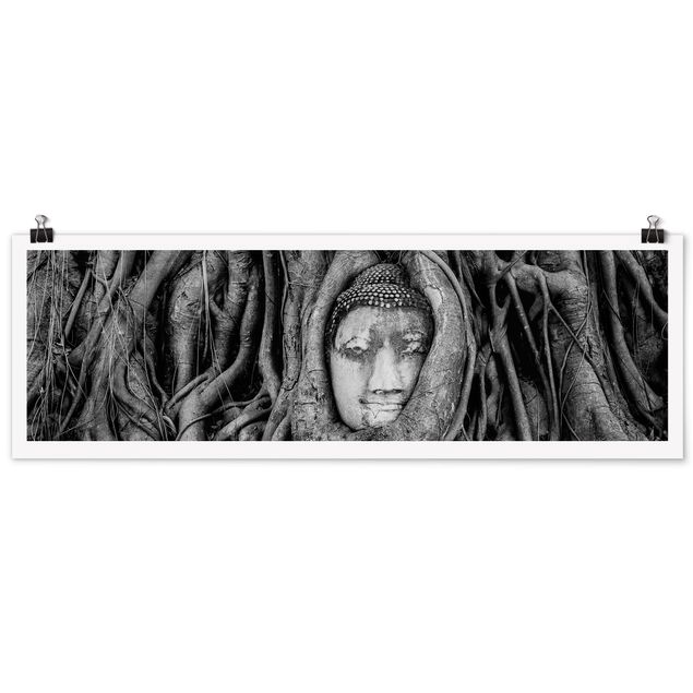 Poster in bianco e nero Buddha ad Ayutthaya foderato di radici d'albero in bianco e nero