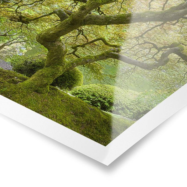 Poster paesaggi naturali Giardino verde giapponese