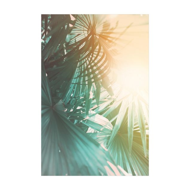 Tappeti con motivi naturali Piante tropicali Palme al tramonto