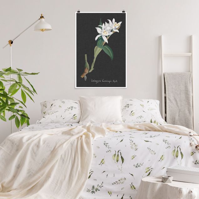 Poster retro Orchidea bianca su lino II