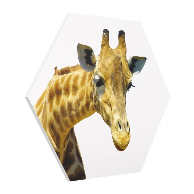 Quadri N.21 Giraffa indiscreta