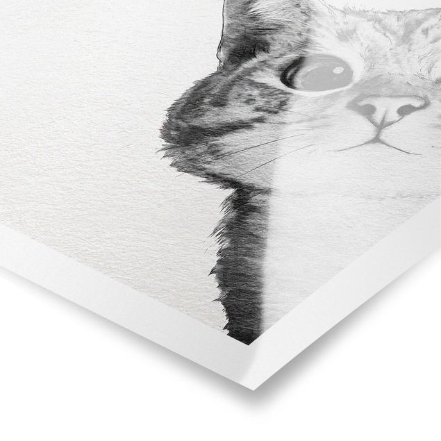 Poster bianco nero Illustrazione - Gatto Disegno in bianco e nero