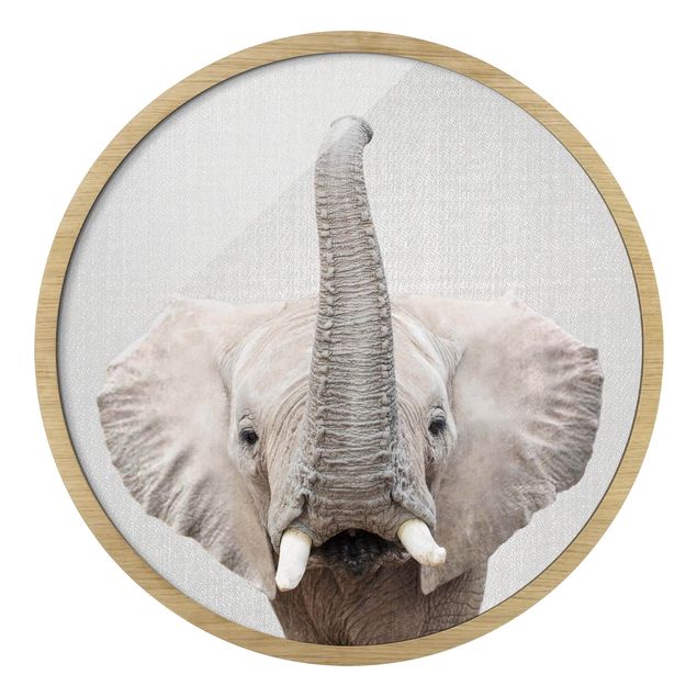 Quadro moderno Elefante Ewald