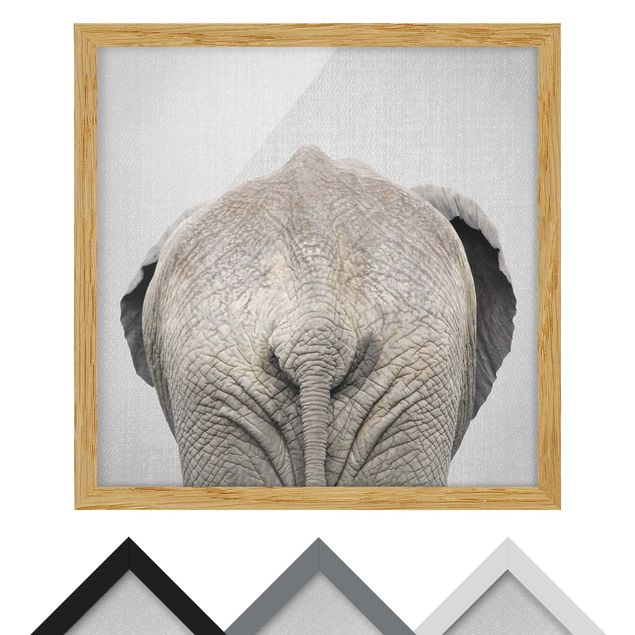 Stampe Elefante visto da dietro
