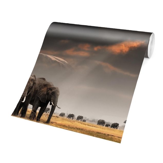 Carte da parati moderne Elefanti nella savana