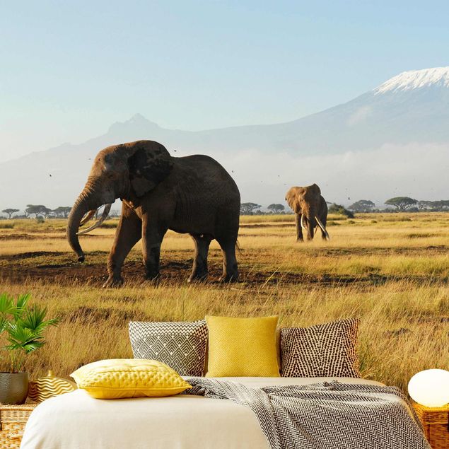 Carta da parati montagna Elefanti di fronte al Kilimangiaro in Kenya