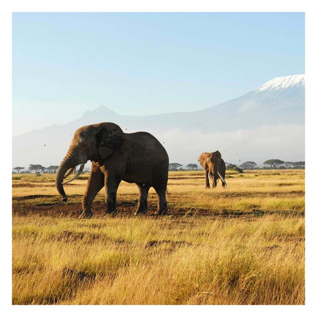 Carte da parati moderne Elefanti di fronte al Kilimangiaro in Kenya
