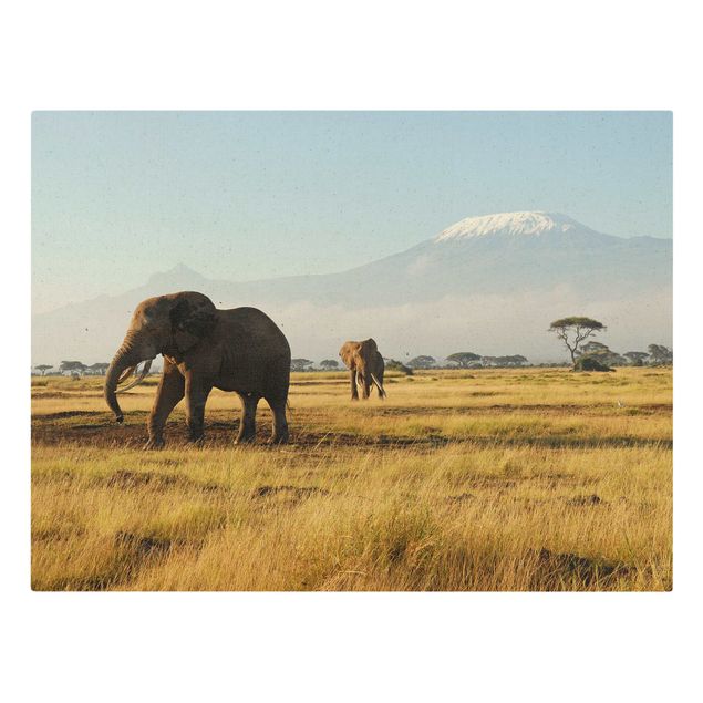 Quadro con elefante Elefanti di fronte al Kilimangiaro in Kenya