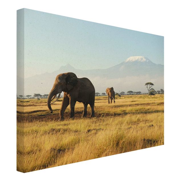 Quadri su tela Africa Elefanti di fronte al Kilimangiaro in Kenya