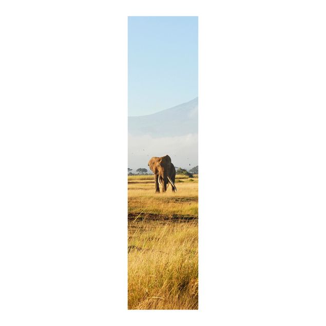 Tessili per la casa Elefanti di fronte al Kilimangiaro in Kenya