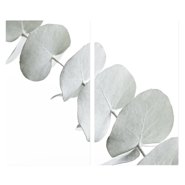 Coprifornelli Ramo di eucalipto in luce bianca