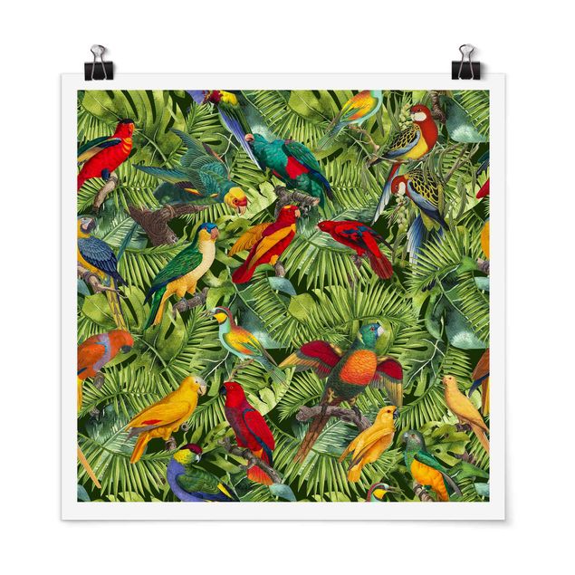 Riproduzioni quadri famosi Collage colorato - Pappagalli nella giungla