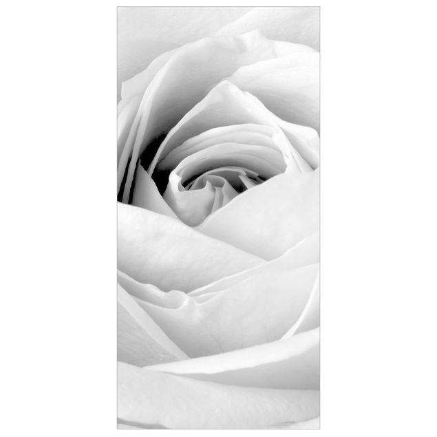 Tenda a pannello Rose Close Up 250x120cm