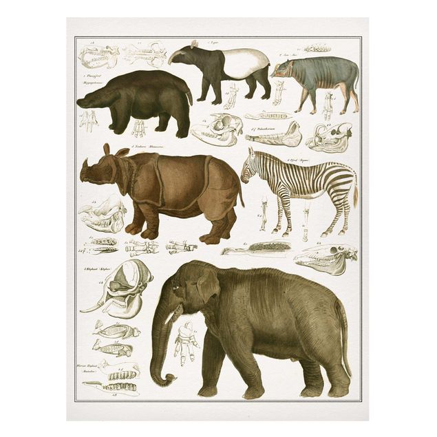 Quadro paesaggio Bacheca Vintage Elefante, zebra e rinoceronte