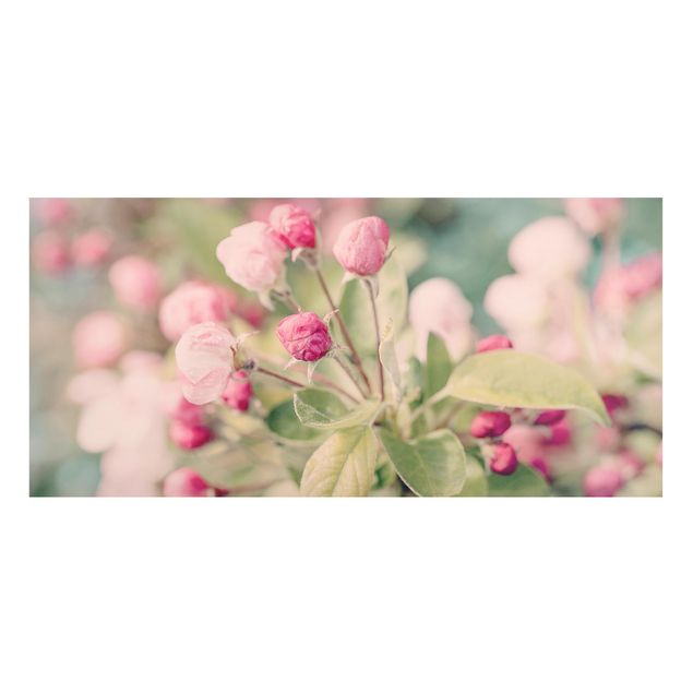 Quadro moderno Bokeh di fiori di melo rosa chiaro