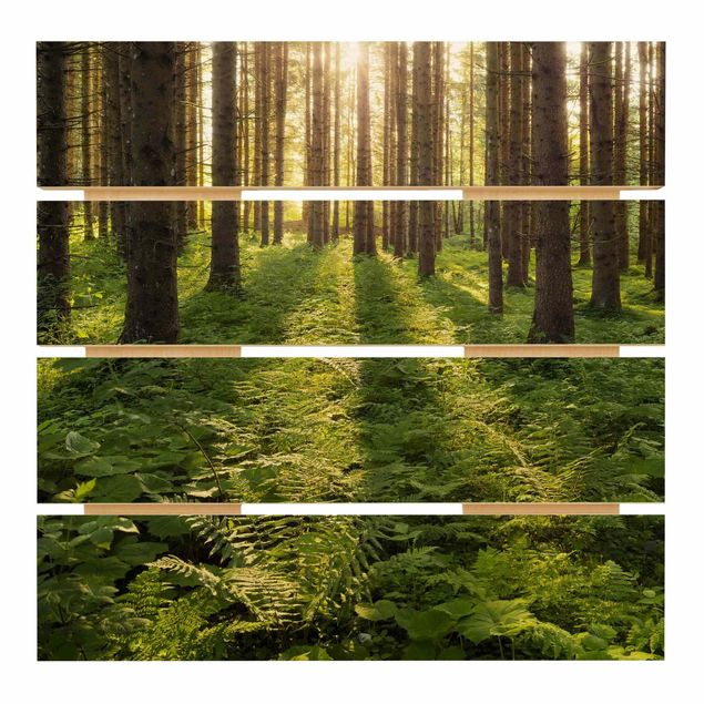 Quadri in legno Raggi di sole nella foresta verde