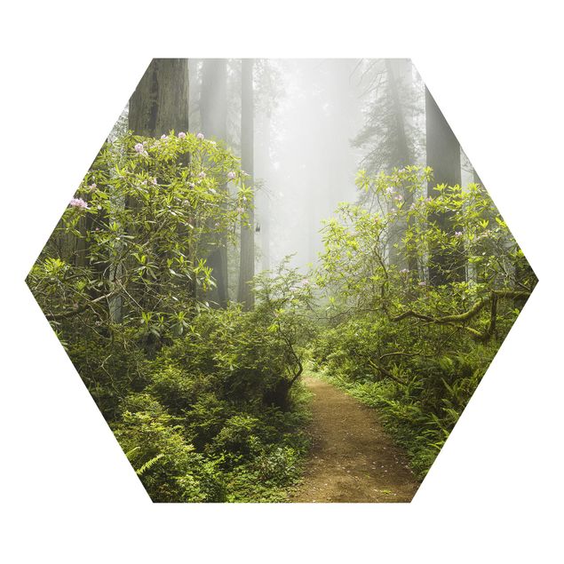 Quadro verde Sentiero della foresta nebbiosa