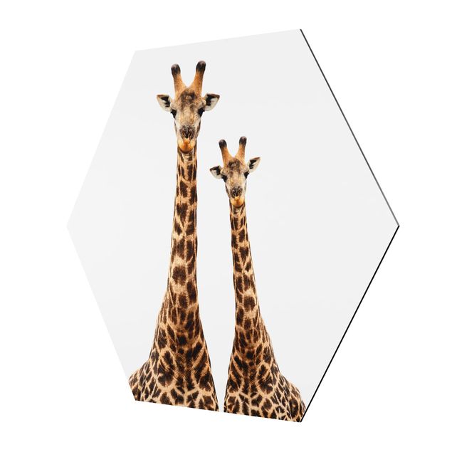 Quadri esagonali Portamento di due giraffe
