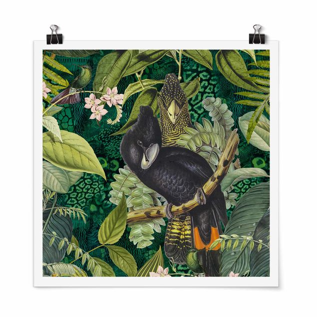 Riproduzioni quadri Collage colorato - Cacatua nella giungla