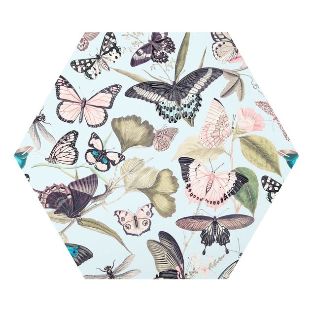 Quadro colorato Collage vintage - Farfalle e libellule