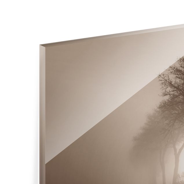 Paraschizzi in vetro - Viale alberato nella nebbia mattutina - Panorama 5:2