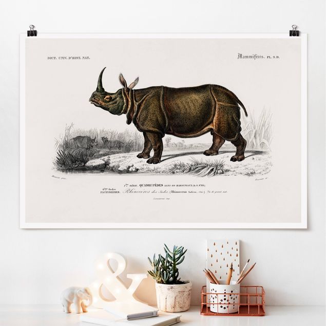 Quadri Africa Bacheca Vintage Rinoceronte