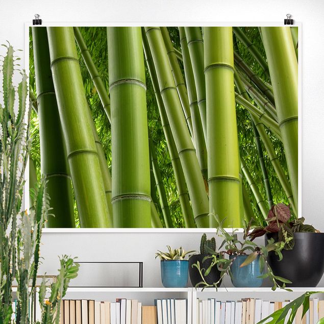 Quadro paesaggio Alberi di bambù n.2