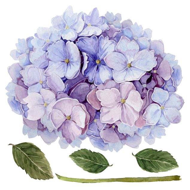 Stickers murali Acquerello - Ortensia blu in fiore XXL