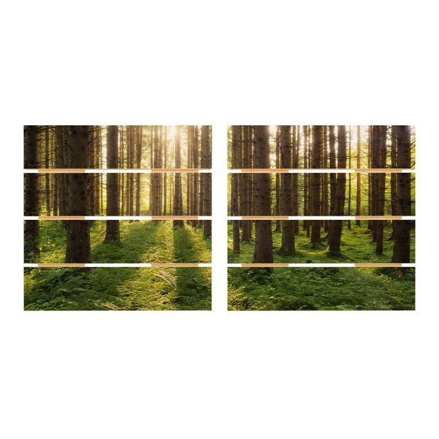 Quadri su legno Raggi di sole nella foresta verde