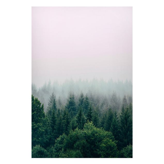 Quadro alberi Foresta nebbiosa crepuscolo
