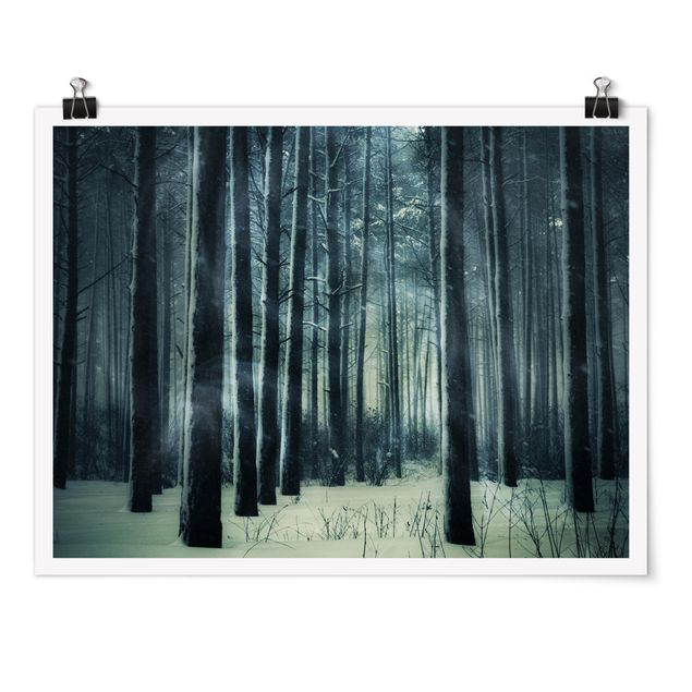 Quadri tridimensionali Foresta invernale mistica