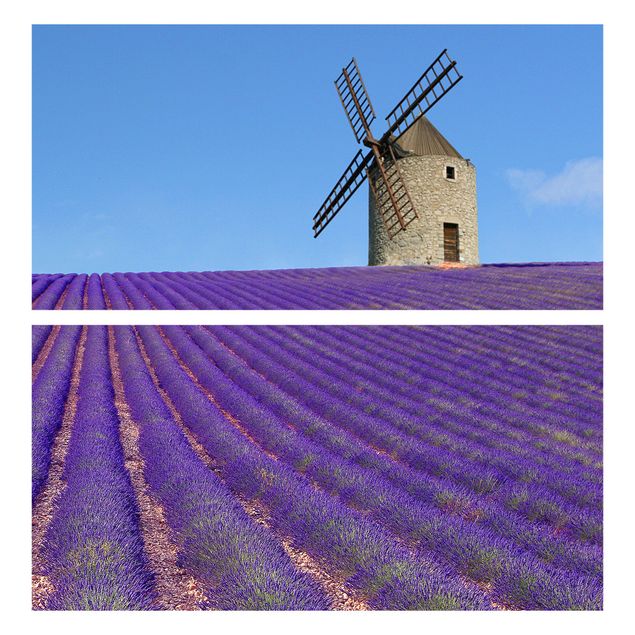 Carta adesiva per mobili IKEA - Malm Cassettiera 2xCassetti - Lavender in Provence