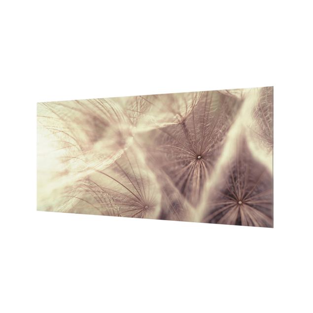 Paraschizzi in vetro - Detailed Dandelion Macro Shot With Vintage Blur Effect