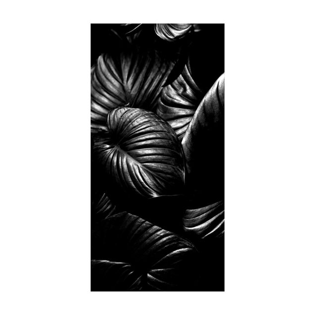 tappeto bianco e nero Hosta botanica in bianco e nero