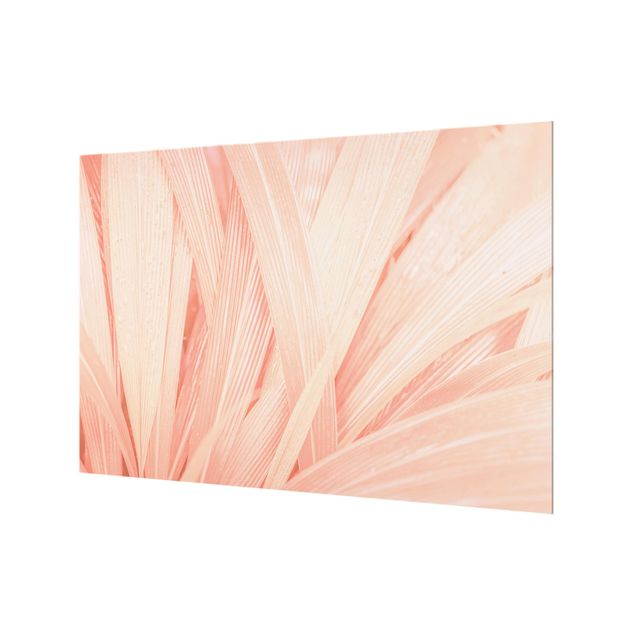 Paraschizzi in vetro - Palm Leaves Pink
