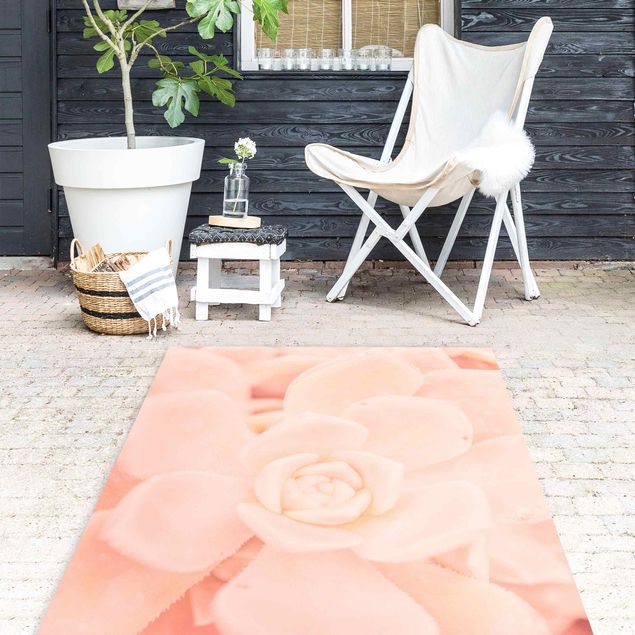tappeti floreali moderni Echeveria magica floreale rosa chiaro