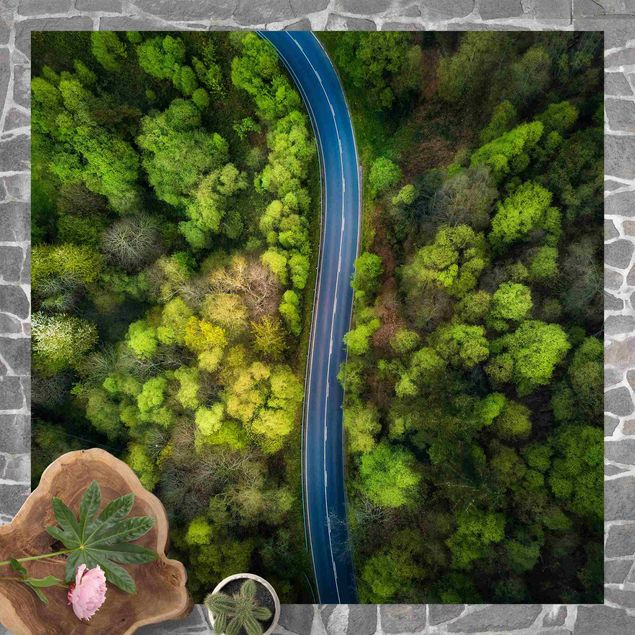 Tappeti moderni Vista aerea - Strada asfaltata nella foresta