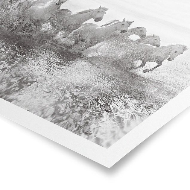 Poster spiaggia mare Cavalli bianchi nell'oceano
