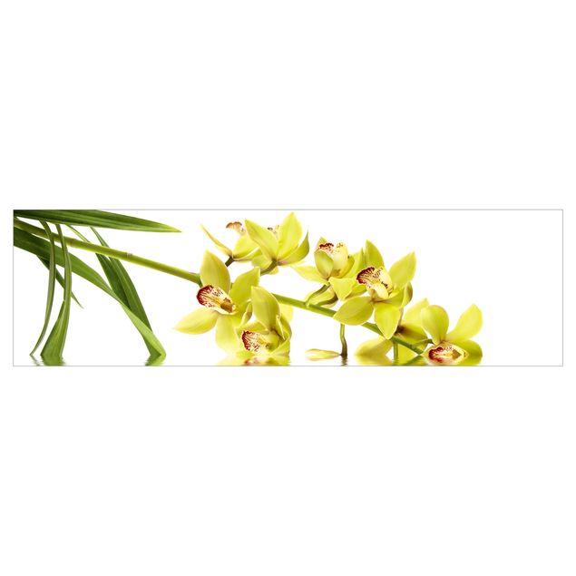 Rivestimento cucina - Elegante orchidea sull'acquas