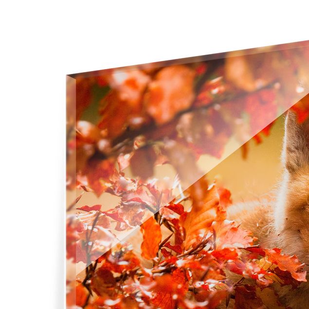 Paraschizzi in vetro - Fox In Autumn