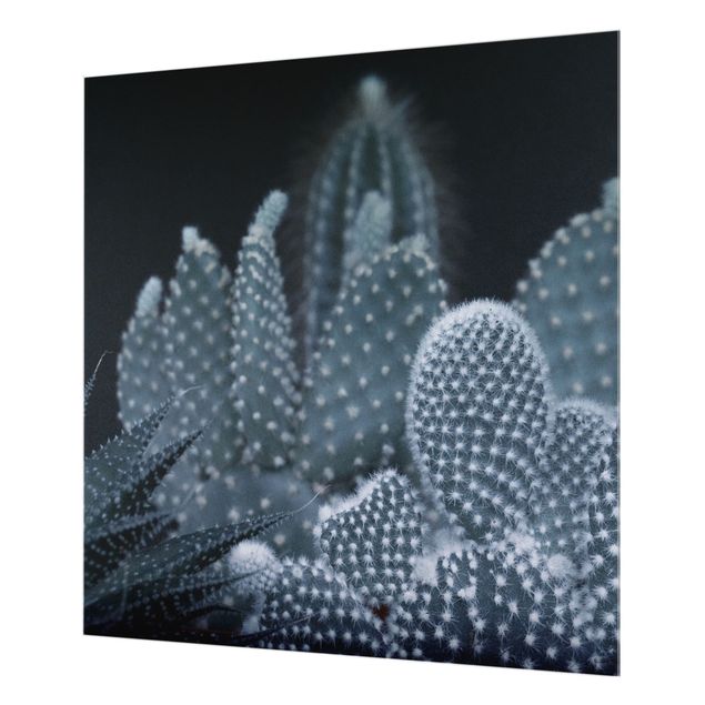 Paraschizzi in vetro - Famiglia di cactus nella notte - Quadrato 1:1