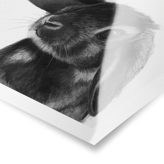 Quadri stampe Illustrazione - Coniglio - Disegno in bianco e nero