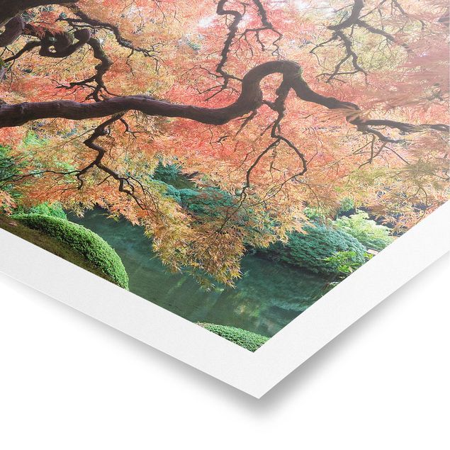 Poster natura paesaggi Giardino giapponese