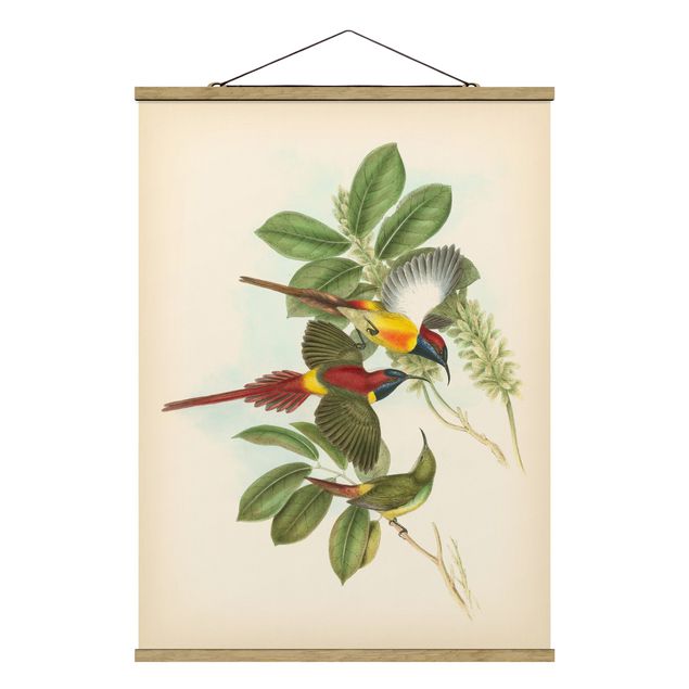 Quadri verdi Illustrazione vintage Uccelli tropicali III