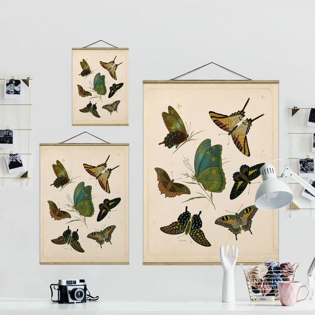 Stampe Illustrazione vintage Farfalle esotiche