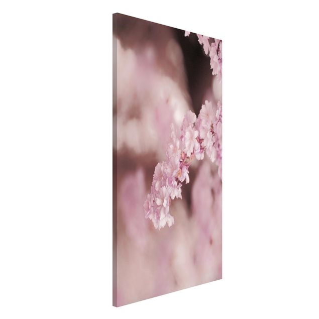 Lavagne magnetiche con fiori Fiori di ciliegio in luce viola