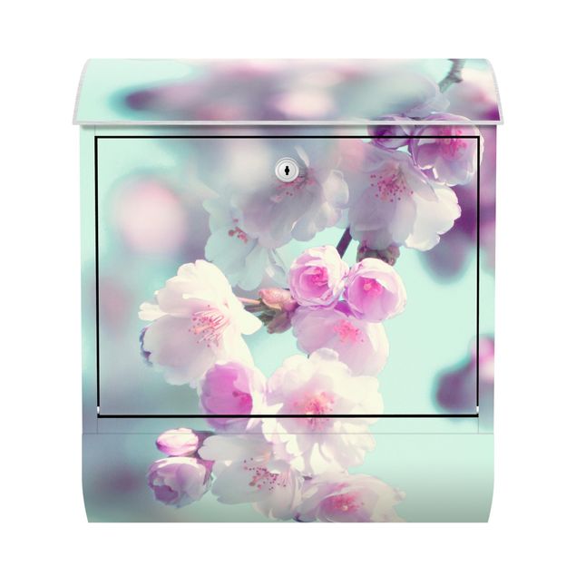 Cassette della posta rosa Fiori di ciliegio colorati
