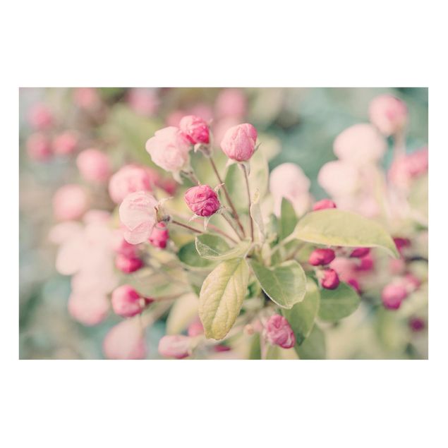 Quadri moderni per arredamento Bokeh di fiori di melo rosa chiaro
